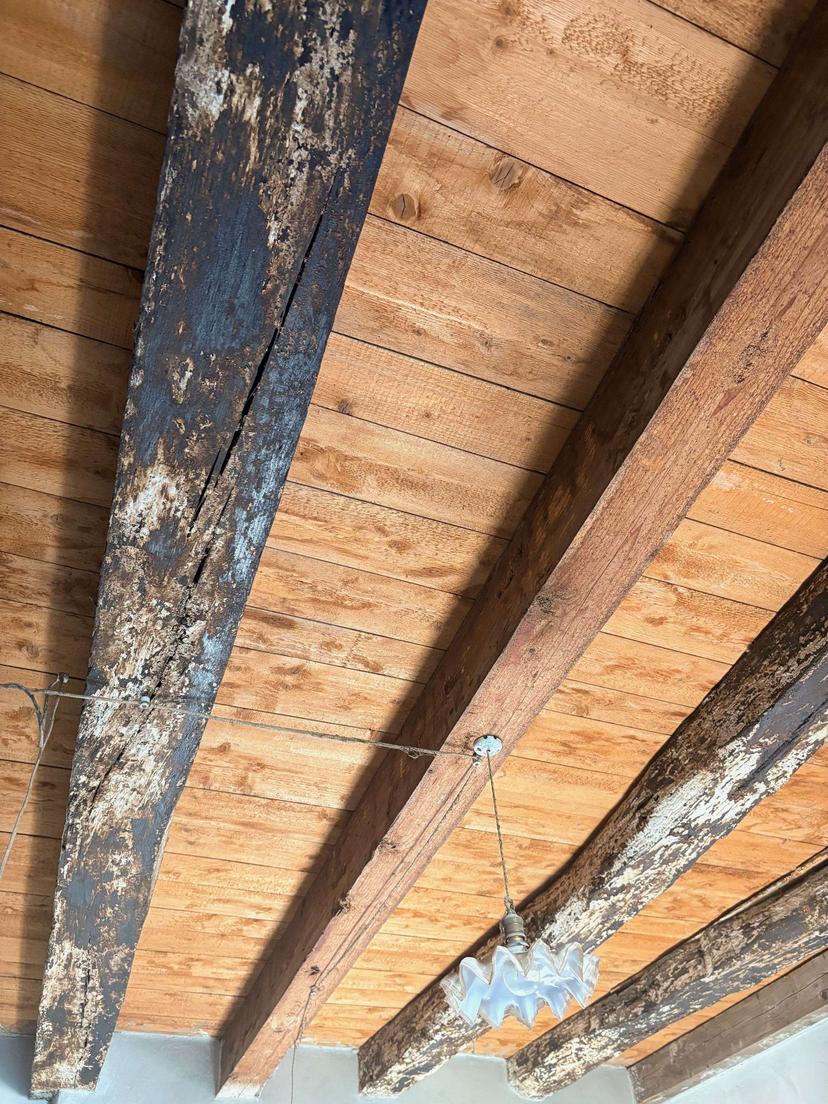 Porzione di casa, Colle Umberto — foto 5 di 5