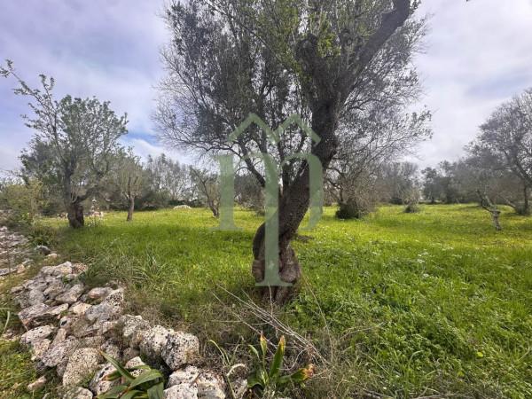 Trullo, Carovigno — foto 2 di 5