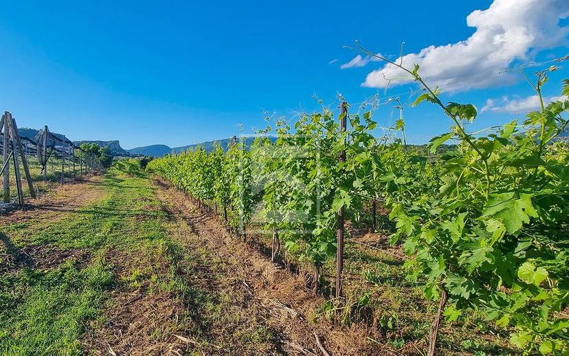 Rustico in Località Pozzoi, Cavaion Veronese — foto 4 di 5
