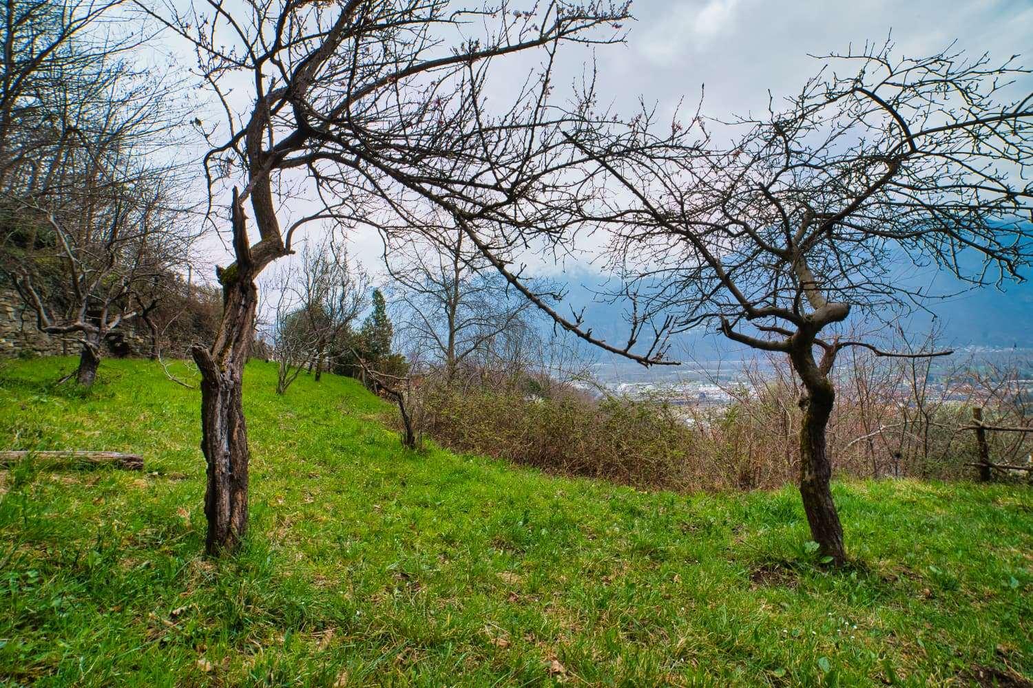 Casa indipendente in  Mongiardino, Villadossola