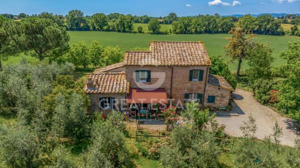 Casale in Strada Provinciale 301, Castiglione del Lago — foto 3 di 5