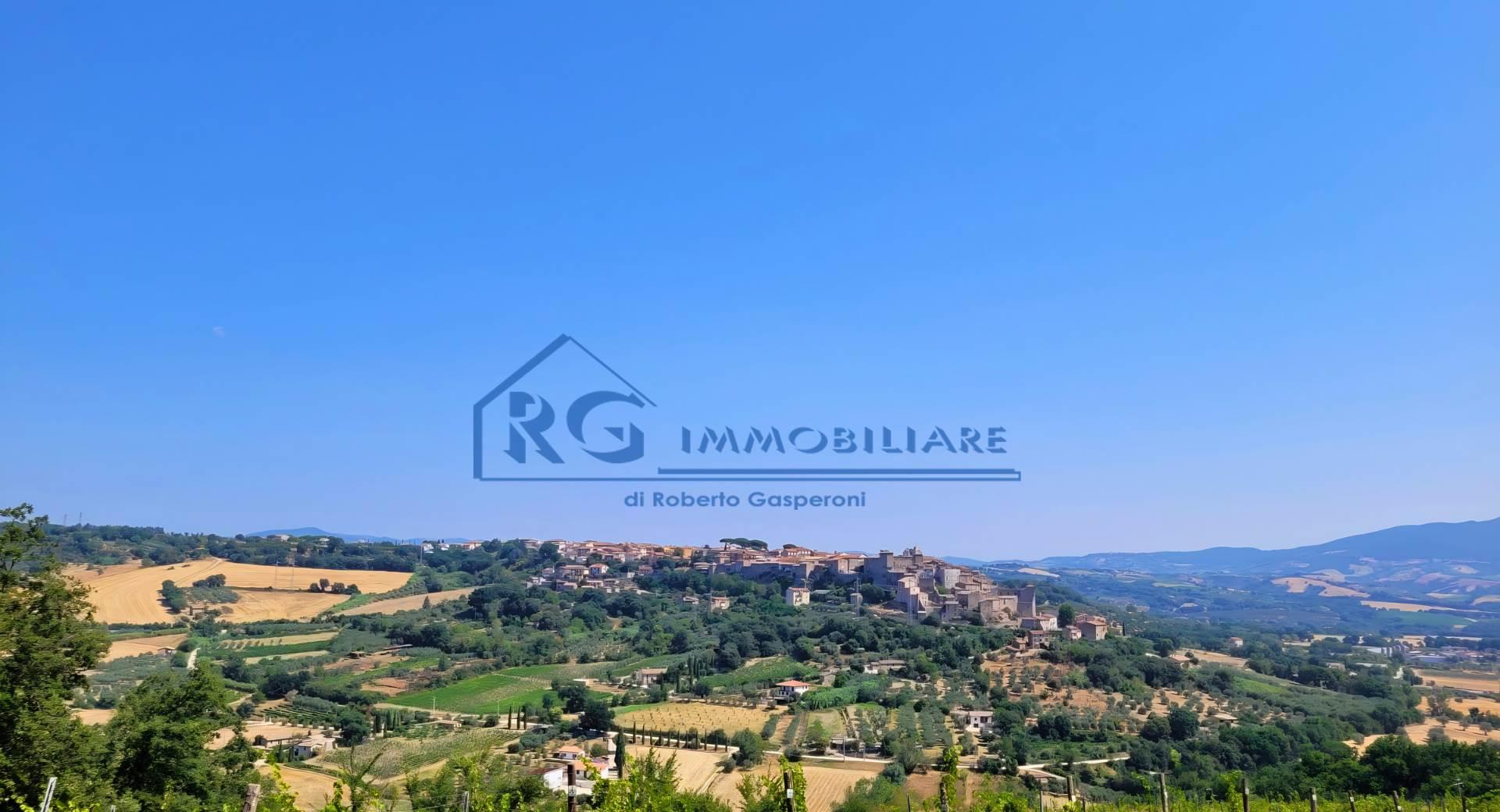Rustico in Strada del Porcino, Castiglione in Teverina
