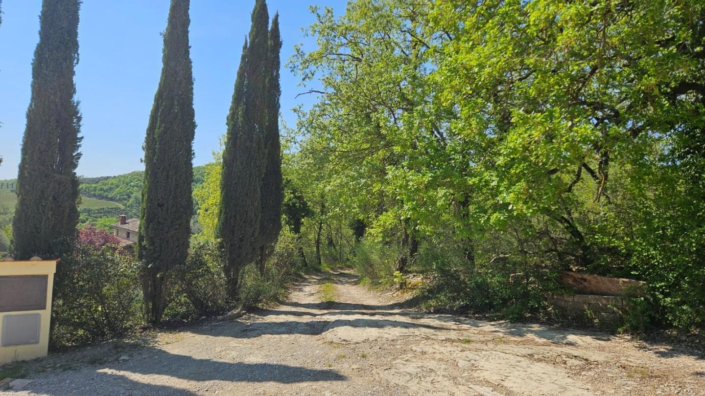 Casa indipendente, Radda in Chianti
