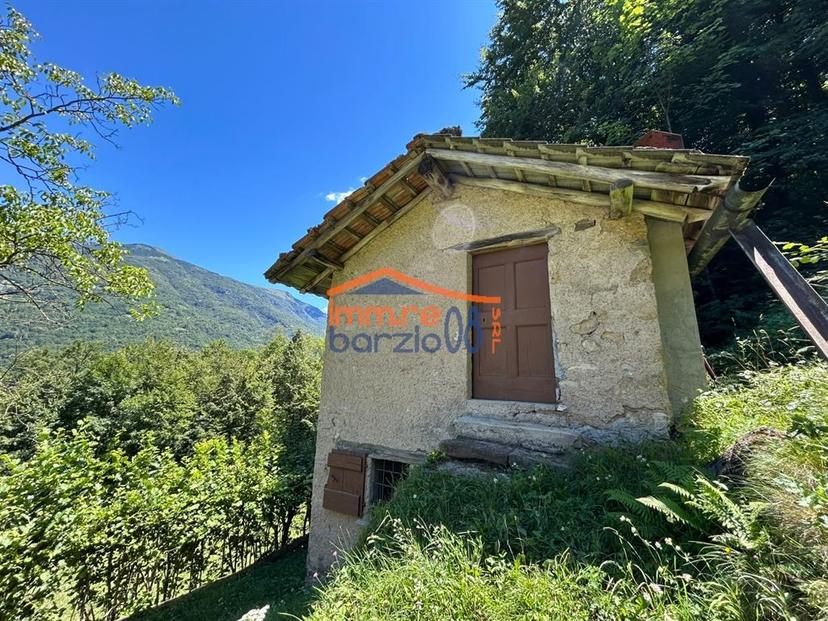 Rustico, Taceno