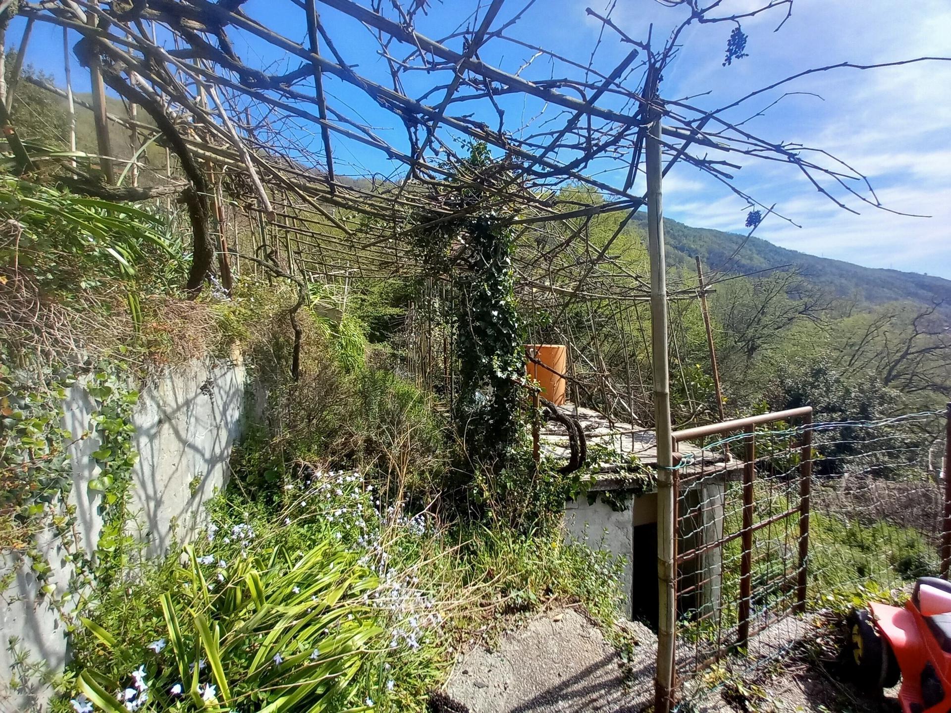Casa indipendente, Sori