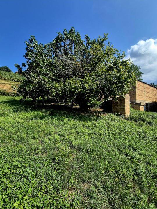 Casa indipendente, Filetto — foto 2 di 5