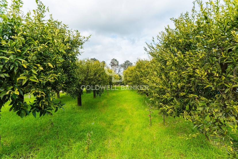 Villa in Strada Provinciale 104, Guagnano — foto 2 di 5