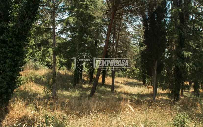 Villa, Fiumicino — foto 4 di 5