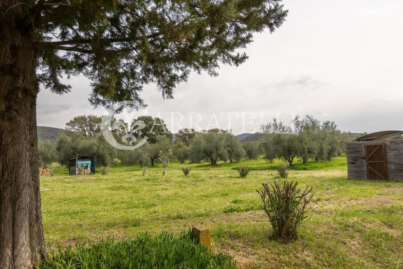 Rustico in Strada Provinciale delle Collacchie, Scarlino — foto 5 di 5