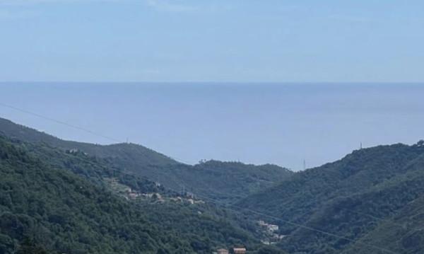 Villa bifamiliare in Via Alpicella, Varazze — foto 4 di 5