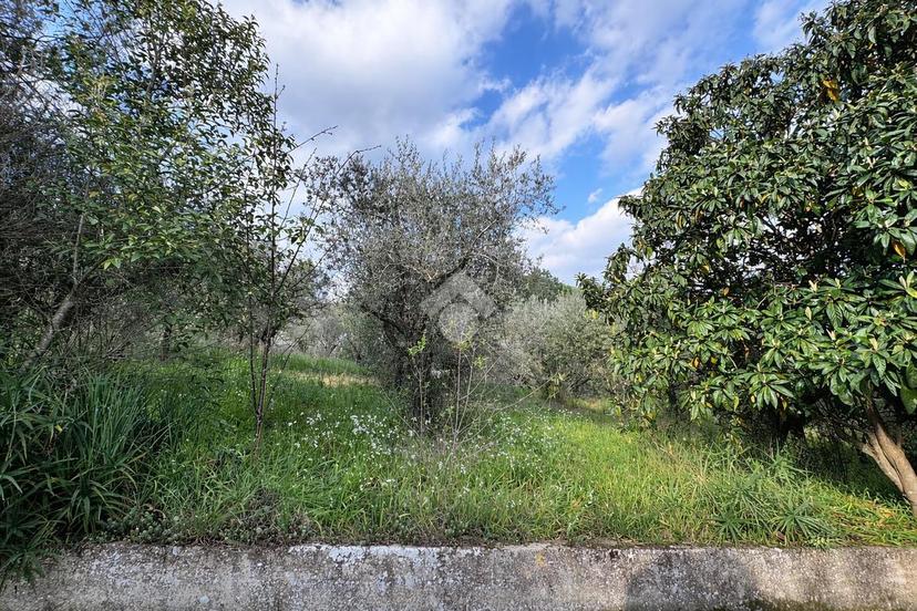 Casa indipendente in Strada Salaria 1, Stroncone — foto 4 di 5