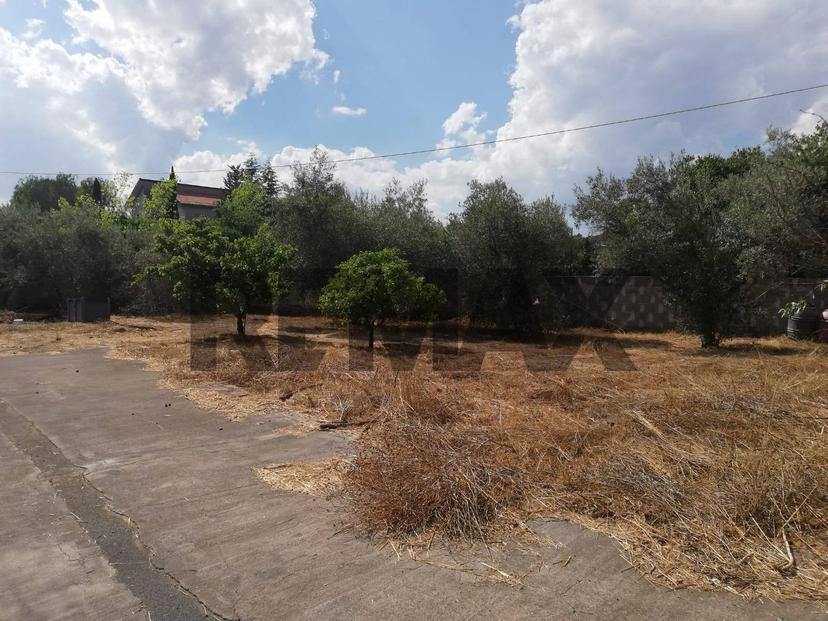 Villa in Strada Viola Snc, Misterbianco — foto 3 di 5