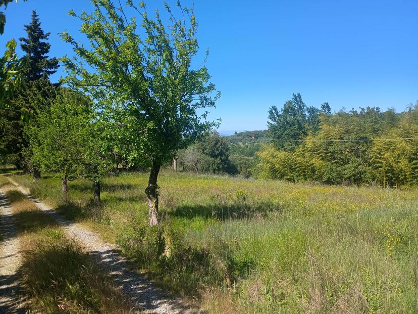 Casa indipendente in Via Nuova, Palaia — foto 3 di 5