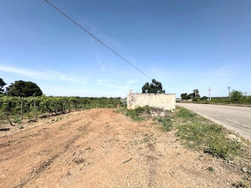Rustico in Via Sp130, Maruggio — foto 2 di 5