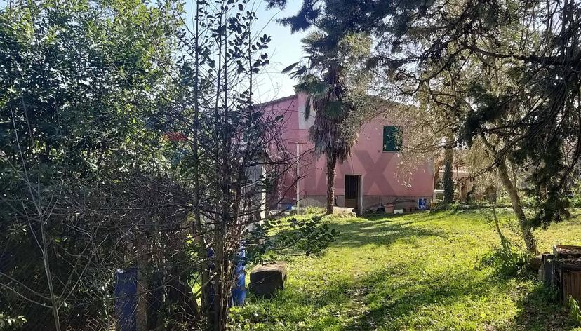 Rustico, Pomarance — foto 4 di 5