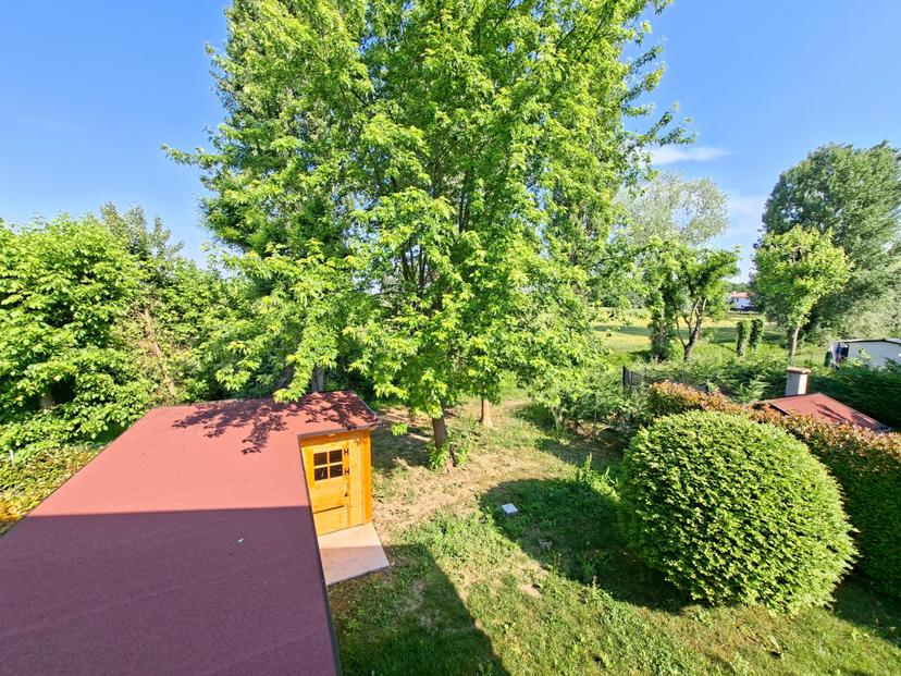 Villa, Due Carrare — foto 5 di 5