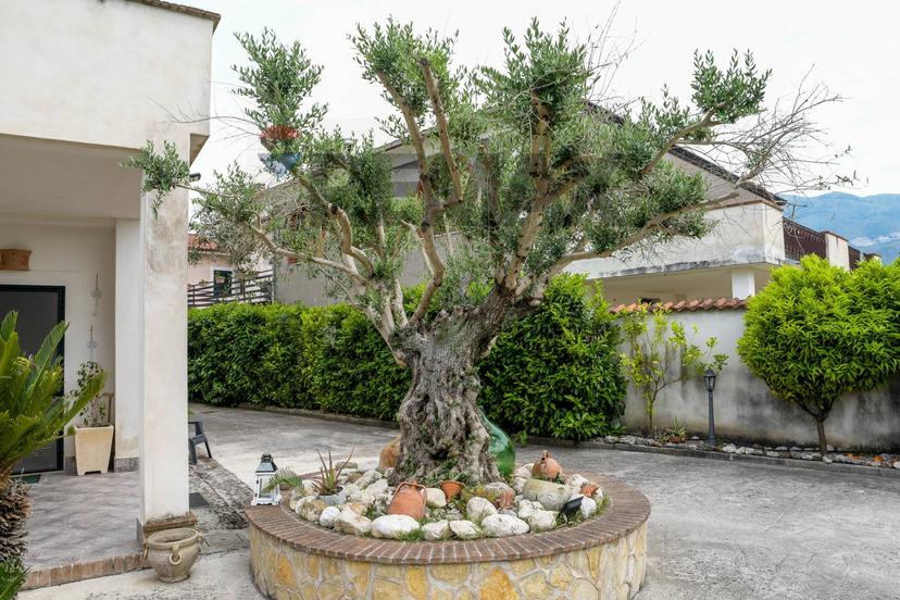Villa in Taverna Vecchia 15, Cervaro — foto 3 di 5