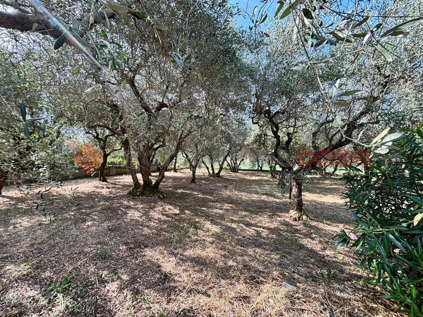 Casa indipendente in Via Valle Vona Snc, Anagni — foto 5 di 5
