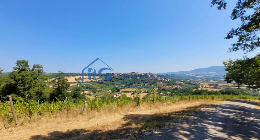 Rustico in Strada del Porcino, Castiglione in Teverina — foto 5 di 5