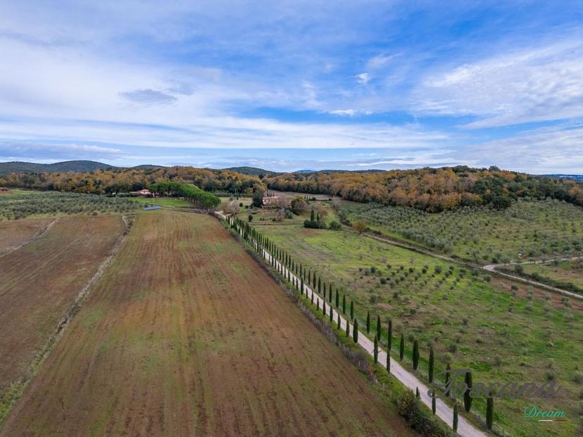 Rustico, Massa Marittima — foto 4 di 5