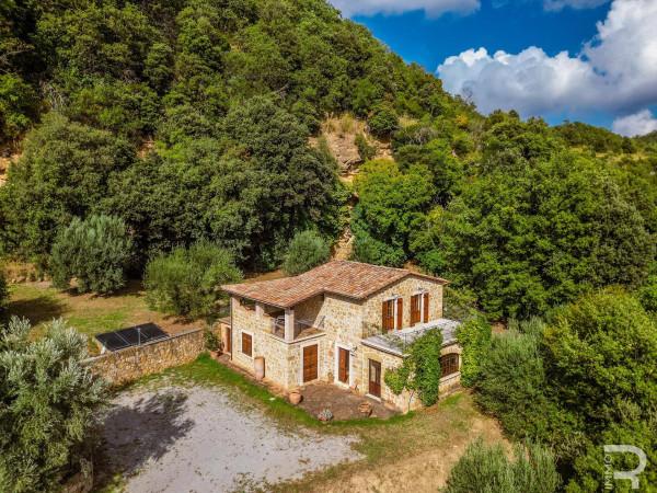 Rustico in Strada Provinciale di Fibbianello, Semproniano — foto 5 di 5