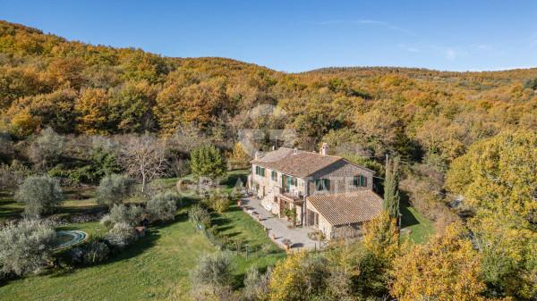 Casale in Vocabolo Cellaro, Montegabbione — foto 4 di 5