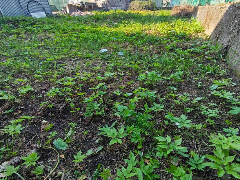 Terratetto, Capannori — foto 2 di 5