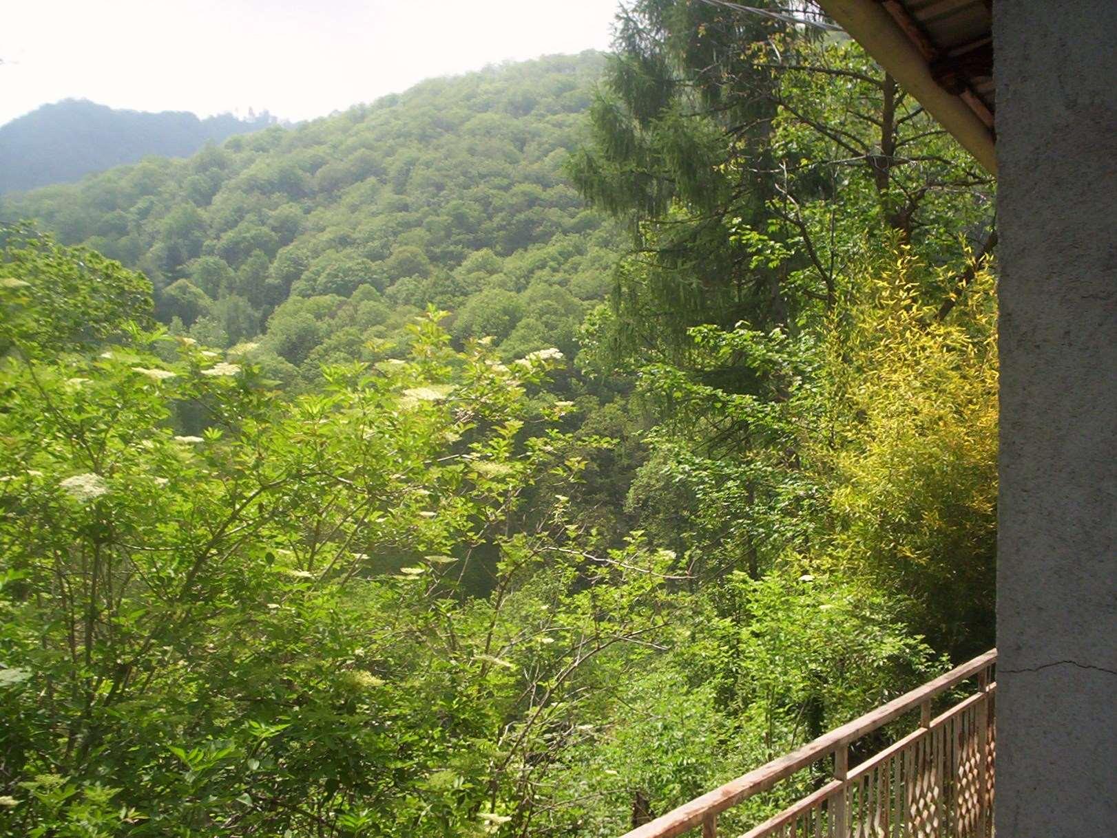Casa indipendente in Regione Brua - Via del Brich  11, Martiniana Po