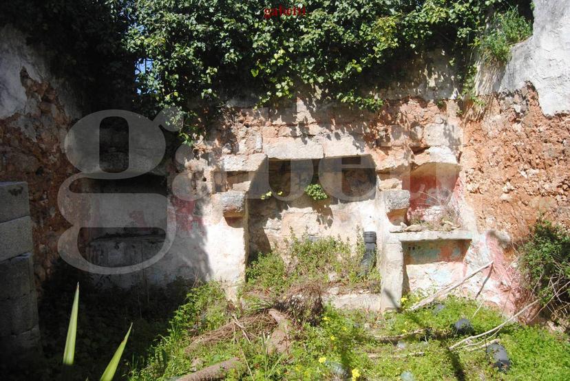 Masseria in Sp85, Andrano — foto 3 di 5