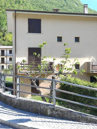 Terratetto unifamiliare in Via Roma 89, Bordano — foto 3 di 5