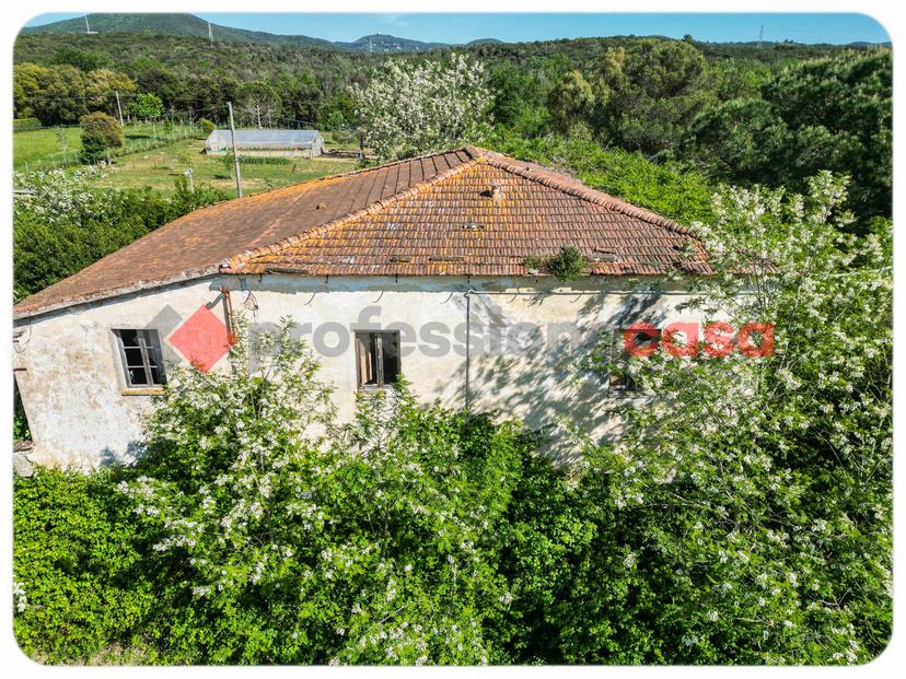 Casa indipendente, Livorno — foto 3 di 5
