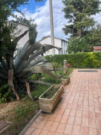 Trilocale in Via Arturo Toscanini, Bagnacavallo