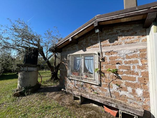 Rustico in Strada Provinciale Ortana, Bassano in Teverina — foto 5 di 5