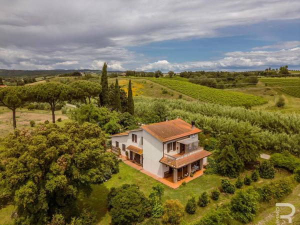 Rustico in Strada Provinciale di Montiano, Magliano in Toscana — foto 3 di 5