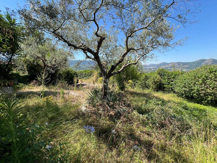 Villa in Via Piana del Mondo, Sant'Agata de' Goti — foto 4 di 5