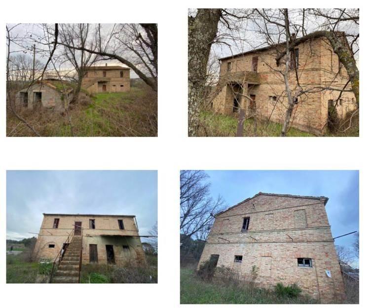 Rustico, Civitanova Marche