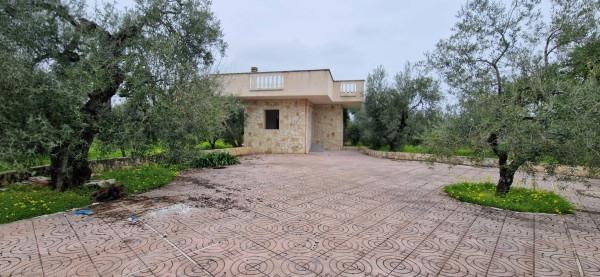 Villa, Trani — foto 4 di 5