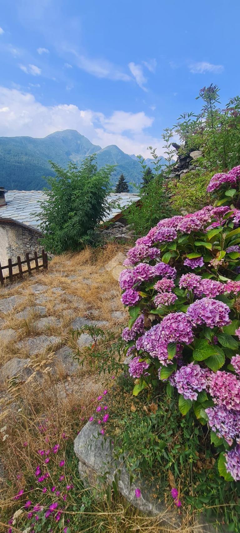 Casa indipendente in Località Ronco Bianco, Chialamberto — foto 2 di 5