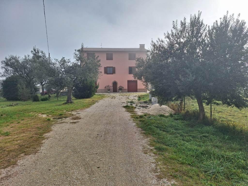 Casa colonica, San Severino Marche