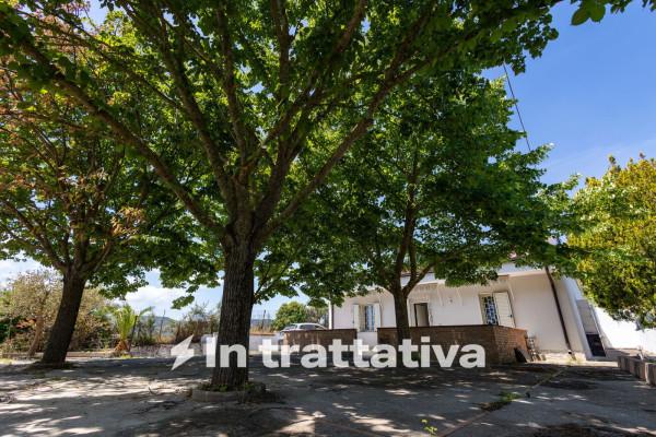 Villa in Contrada Ciaramella Snc, Caraffa di Catanzaro, Cz, Italia, Caraffa di Catanzaro — foto 4 di 5
