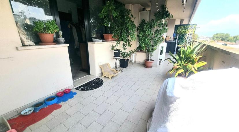 Appartamento, Viareggio