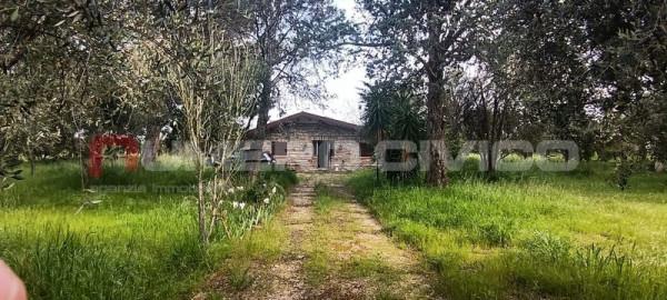 Villa in Strada del Salice Nuovo, Foggia — foto 3 di 5