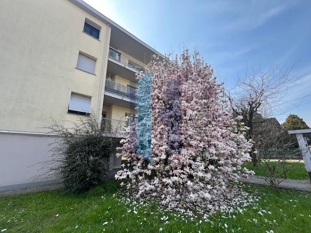 Quadrilocale in Via Forlanini, Ponte San Pietro — foto 5 di 5