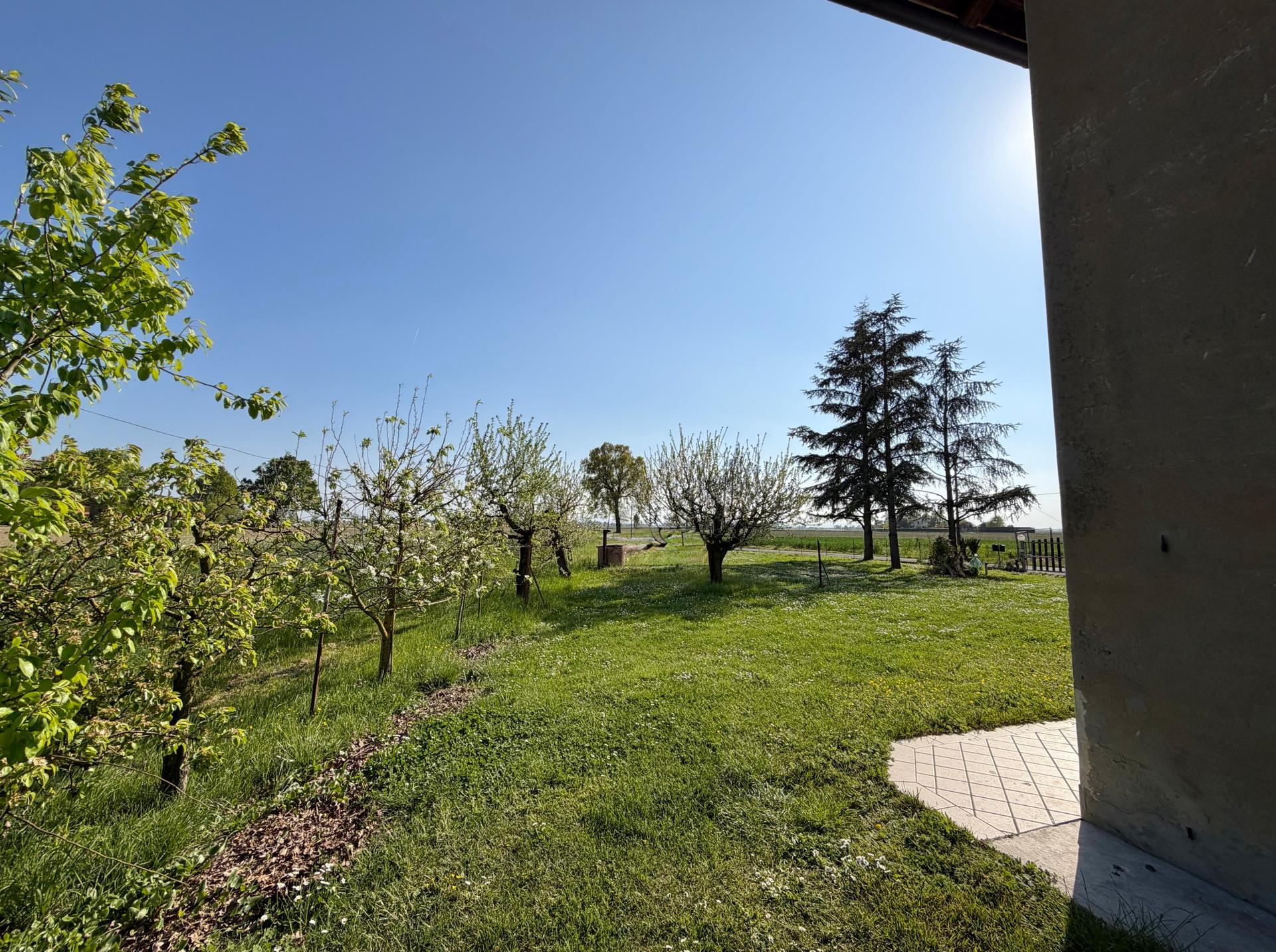 Rustico in Via Volpino 13 a, Budrio