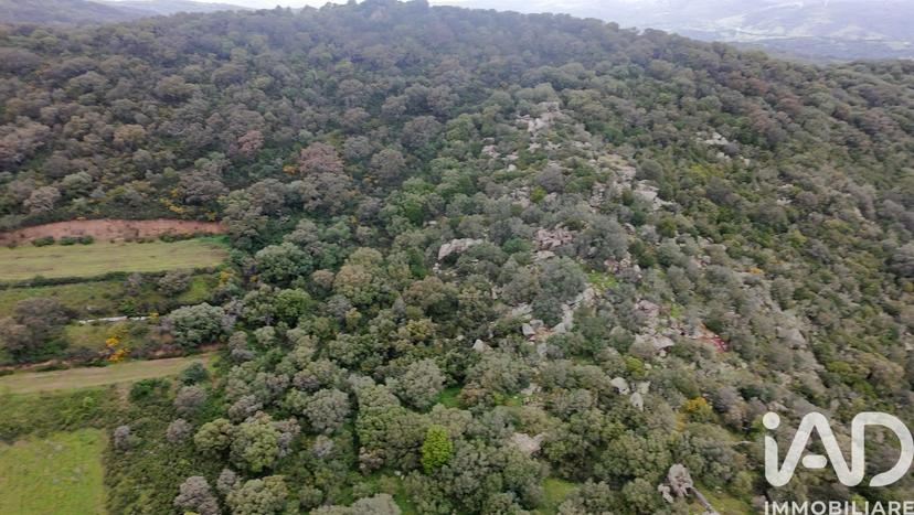 Villa in Località Sa Adde 20, Luras — foto 2 di 5