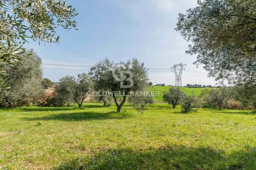 Villa in Via Viola 4, Misano Adriatico — foto 4 di 5