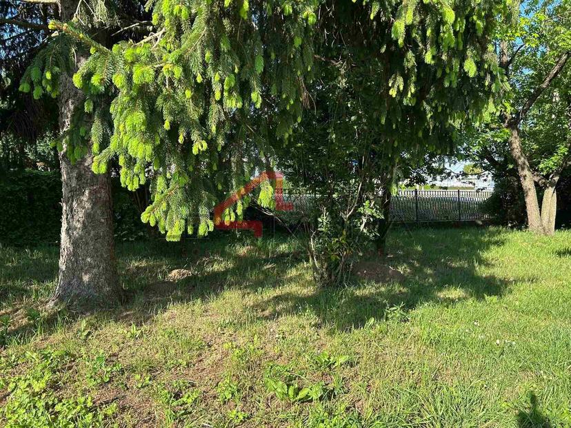 Casale, Nogara — foto 3 di 5