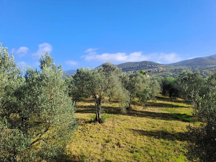 Rustico in Strada Provinciale 30, Alviano — foto 2 di 5