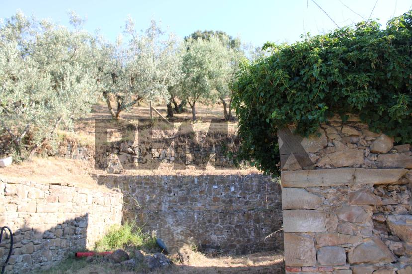 Rustico, Vinci — foto 3 di 5