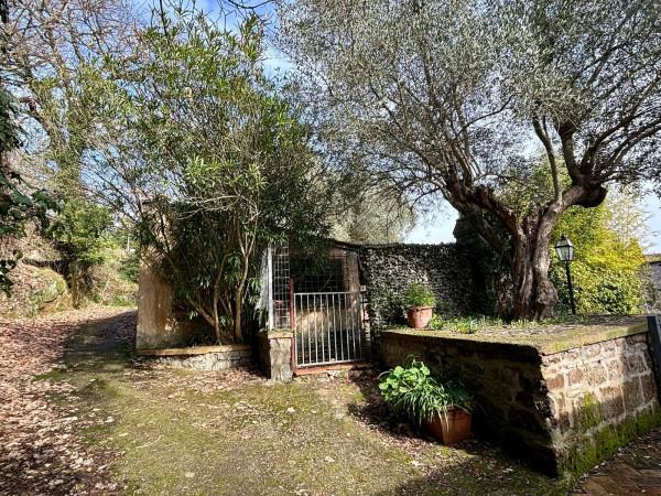 Terratetto unifamiliare in Via Le Piane, Orte — foto 5 di 5